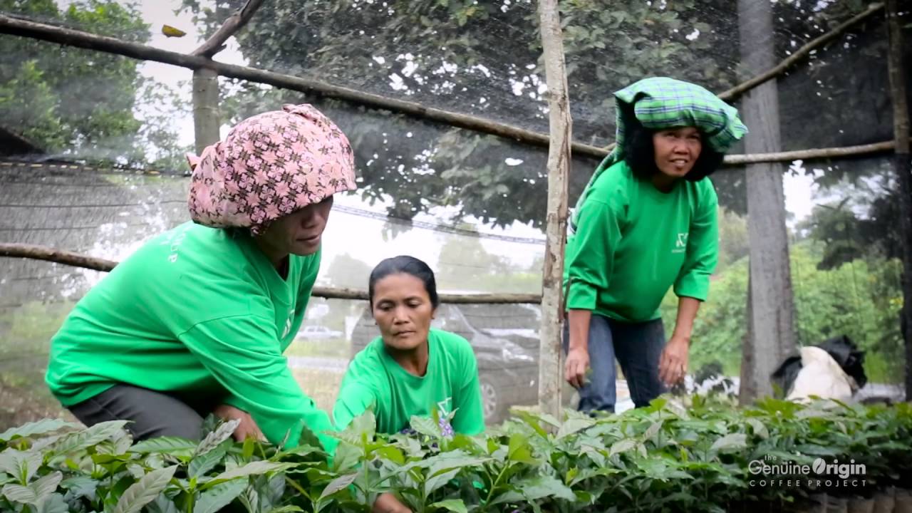 The Genuine Origin Coffee Project | Sumatra