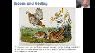 DBC Meeting: Foot Stamping and Booming: Our Illinois Prairie Chickens with Bob Gillespie