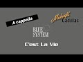 BLUE SYSTEM C Est La Vie A Cappella 