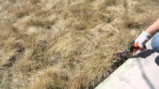 CLUB.J ミニ ガーデンレーキ とゴールデンスター 鋏 回転式 芝生鋏 を使用して草刈り