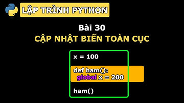 #30  Điều cần biết về phạm vi toàn cục - Lập trình python - vninfographic