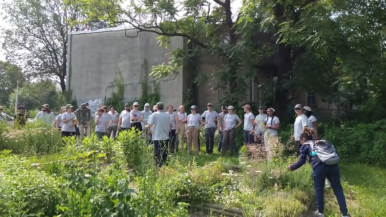 Chesapeake Conservation and Climate Corps at the Johnston Square Community Farm and Garden