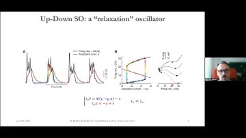 Maurizio Mattia - Cortical metastability across brain states