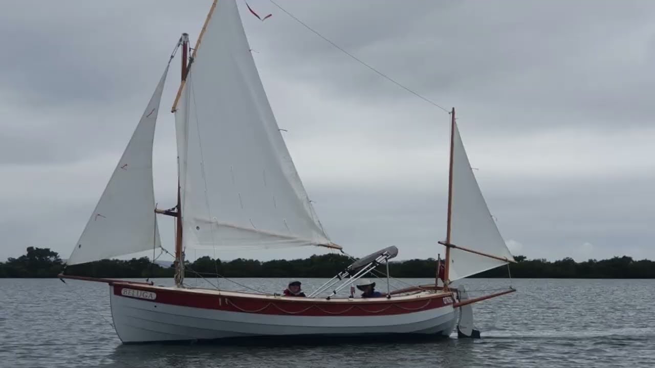 6m whaler sailboat