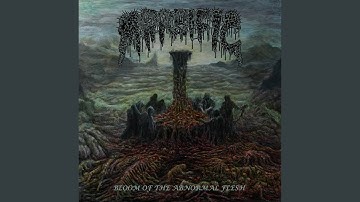 Bloom of the Abnormal Flesh (A Travesty of Human Anatomy)