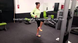 Inverted Hamstring Exercise