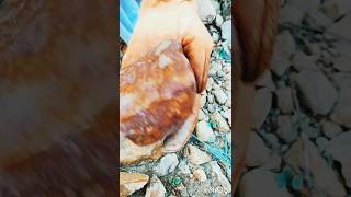 Diamond Hunter Newrockhounding  nature crystals geology asmr gemhunter