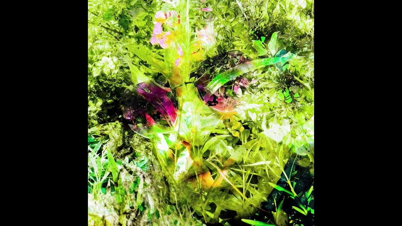 LIVE ELECTRONICA MIX; Music Inspired By Techno, House, Electro and Ambient; For Energy/Movement