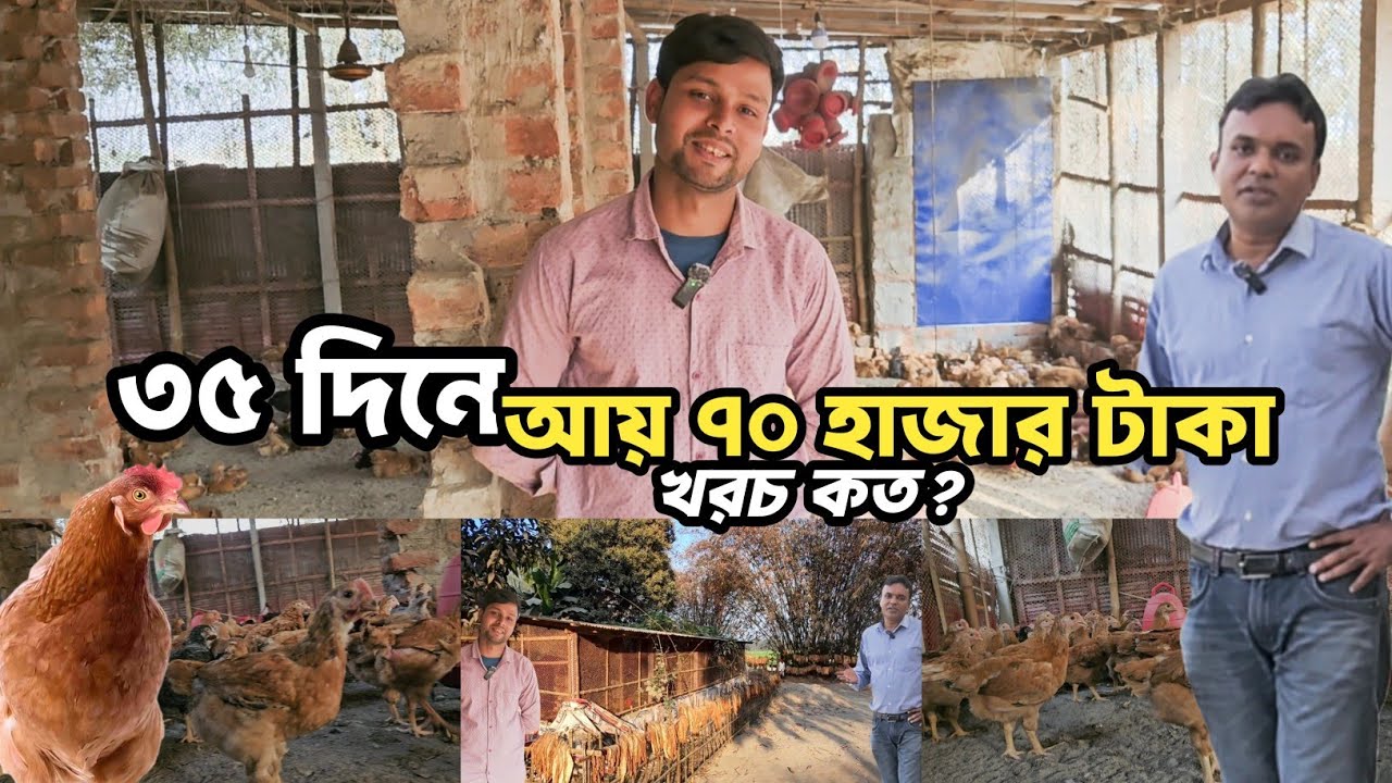 ৩৫ দিনে আয় ৭০ হাজার টাকা | খরচ কত | Farm Business Ideas | Agro Dream Bangla 