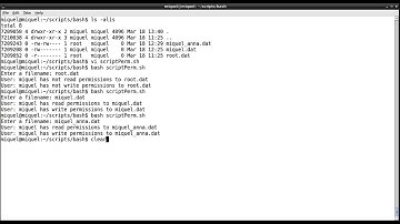 bash - checking for file permissions