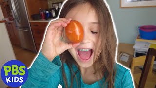 Molly of Denali | Awesome Alaskan Kids: Foraging for Greens | PBS KIDS
