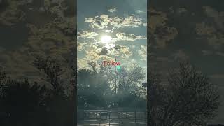 follow