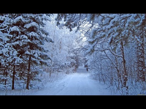 N'Pans Ft. Алекс Индиго - Белый Снег России