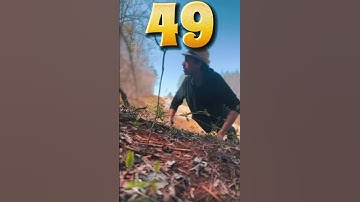 Day 88 of doing knuckle pushups #challengeshorts #bodyweightexercises #knucklepushups #shortsfeed