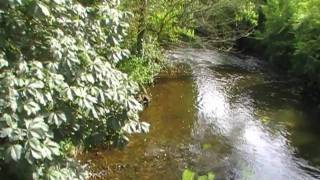 River Trieux, 22200 Guingamp, Côtes Darmor, Brittany, France 9Th July 2009