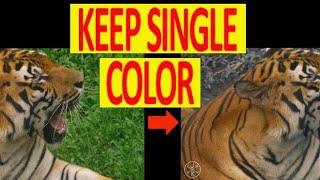 How to desaturate all color and keep one by using vegas pro