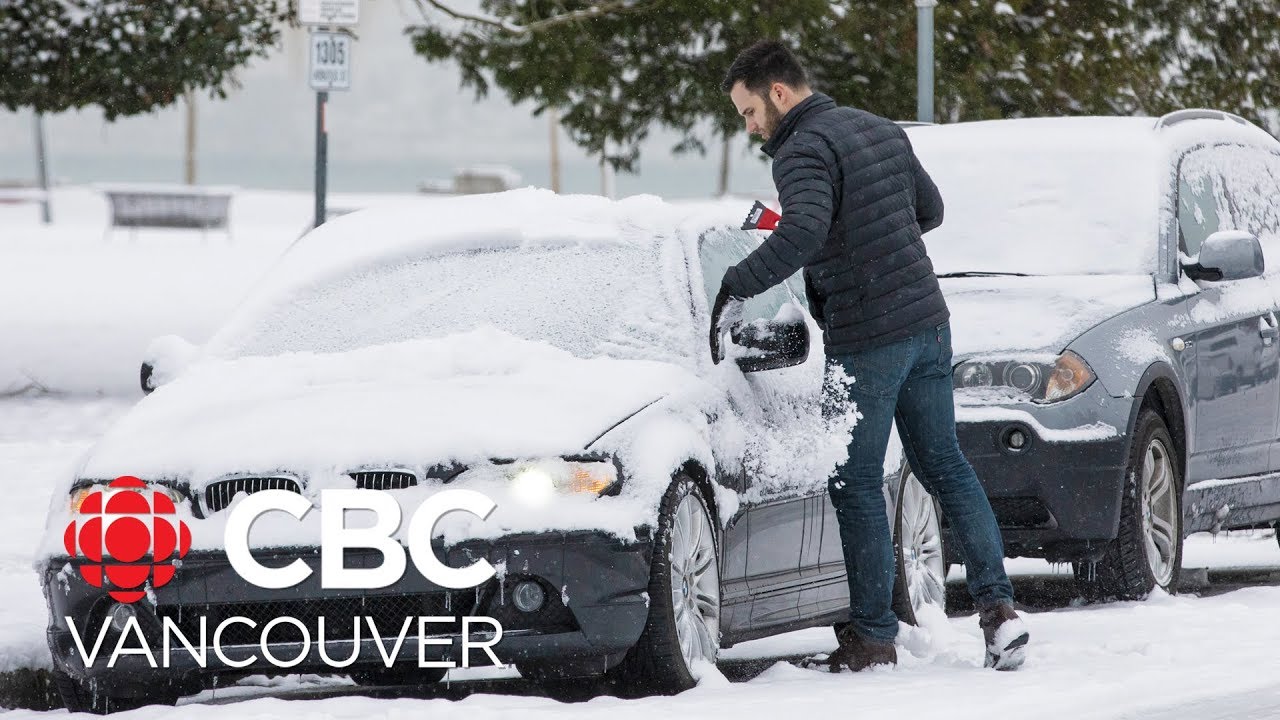 Snowstorm and high winds bring travel chaos to B.C. - YouTube