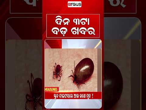 3 PM Headlines | Today Top News | Big Breaking | Odisha Latest Update | Argus News