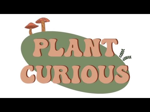 Plant Curious S1: E1 - Ackee & "Saltfish" (From The Home Kitchen) - YouTube