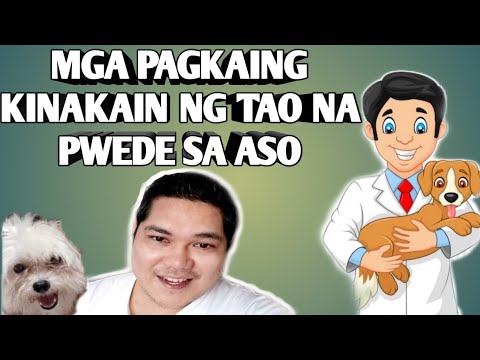 Video: Nutrisyon Sa Aso: Ano Ang Gumagawa Ng Balanseng Pagkain Ng Aso?