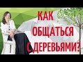 Как разговаривать с деревьями?