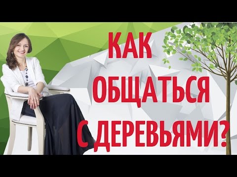 Как разговаривать с деревьями?