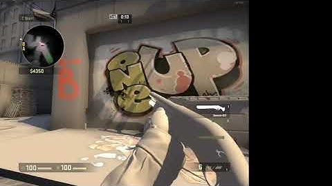 CSGO WITH MAT FULLBRIGHT 2