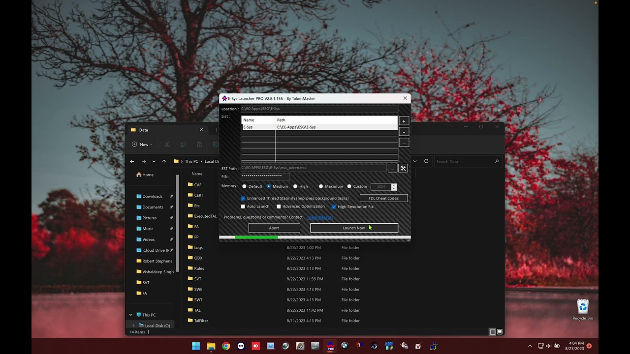 PSDZDATA Lite/Full Space Saving Trick (Windows/MacBook M1/M2)