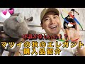 【高貴な購入品紹介】マツイの秋のエレガント購入品紹介2024👑✨