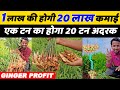       ginger farming  smart technology  indian farmer