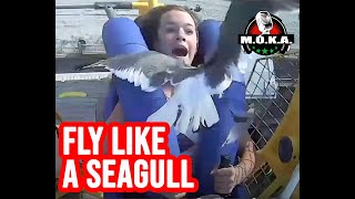 Incoming A Seagull Flew Straight Into A Teens Face While She Was On A Ride At The Jersey Shore