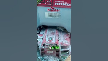 Perawatan Cabe Setelah Panen Musim Kemarau, Buah Lebat Kembali Tanpa Penyakit
