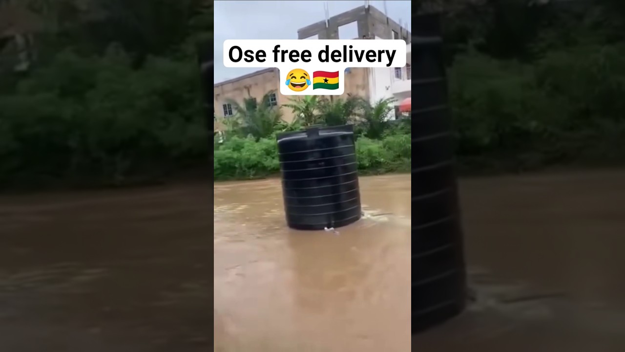 This is why you Can't Be Sad in Ghana 🇬🇭 😂😂 #funny #akuffoaddo #ghana #ghanatrending #kwadwosheldon