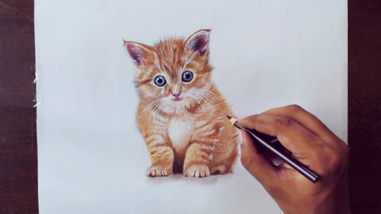 Colour Pencil Drawing Animals - bestpencildrawing