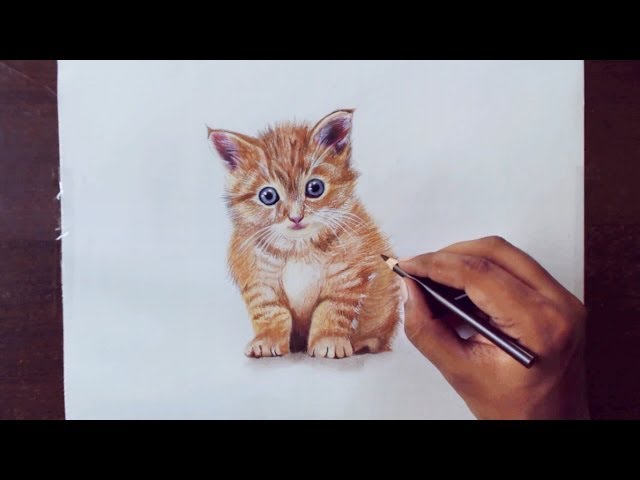 Prismacolor Technique Digital Art Lesson, Animal Drawing Set, Level 1 How  to Draw Animals with Colored Pencils, Graphite Pencils, Fox Drawing Lesson