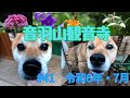 音羽山観音寺#41 2024年・文月