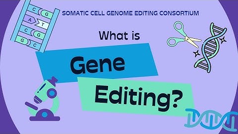 What is gene editing?