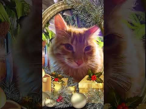 🎄С НОВОГОДНИМИ ПРАЗДНИКАМИ! #short #shortvideo #сновымгодом2023 #новыйгод