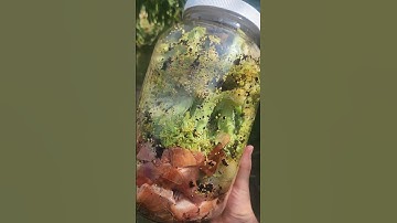 Connecting with a Neighbor Through Composting: Small Steps to Sustainability #Composting #Community