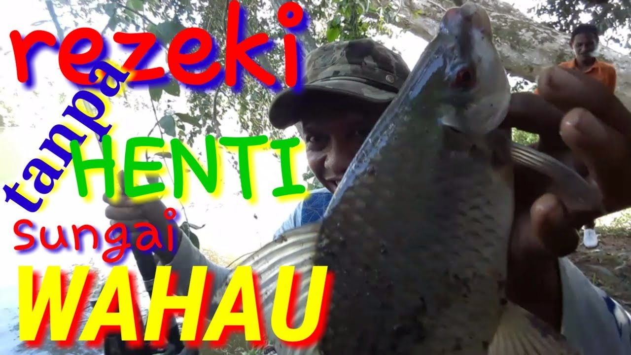 Serunya strike melem , sungai wahau lagi