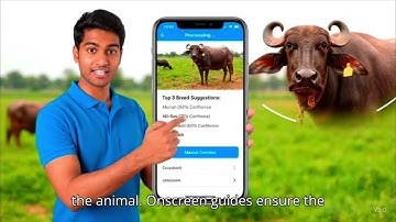 Image based breed recognition for cattle and buffaloes of india | SIH25004 | team HEXYOUDHAS