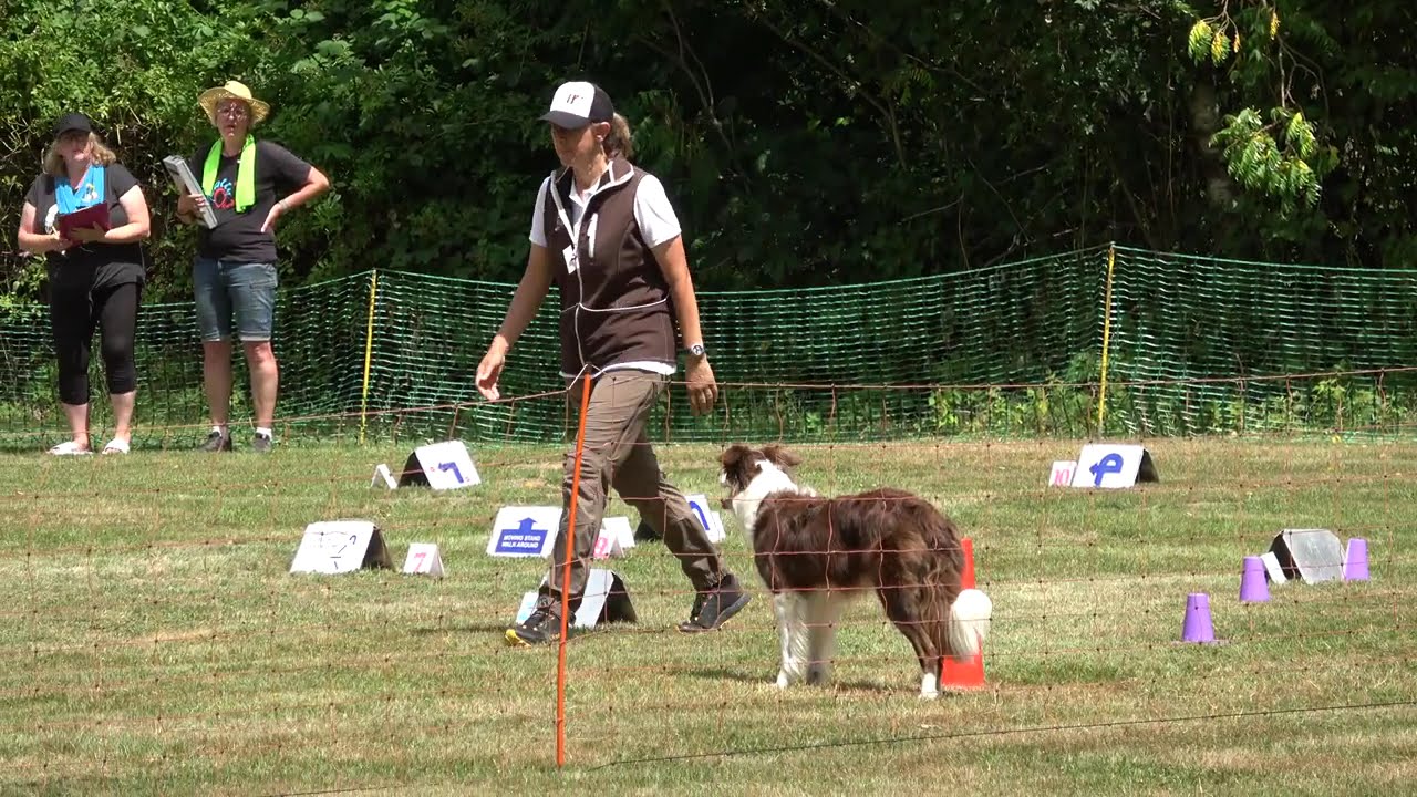 FCI RO Qualies Tag 2 Maisy