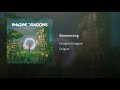 Imagine Dragons Boomerang Audio Imagine Dragons Boomerang Audio