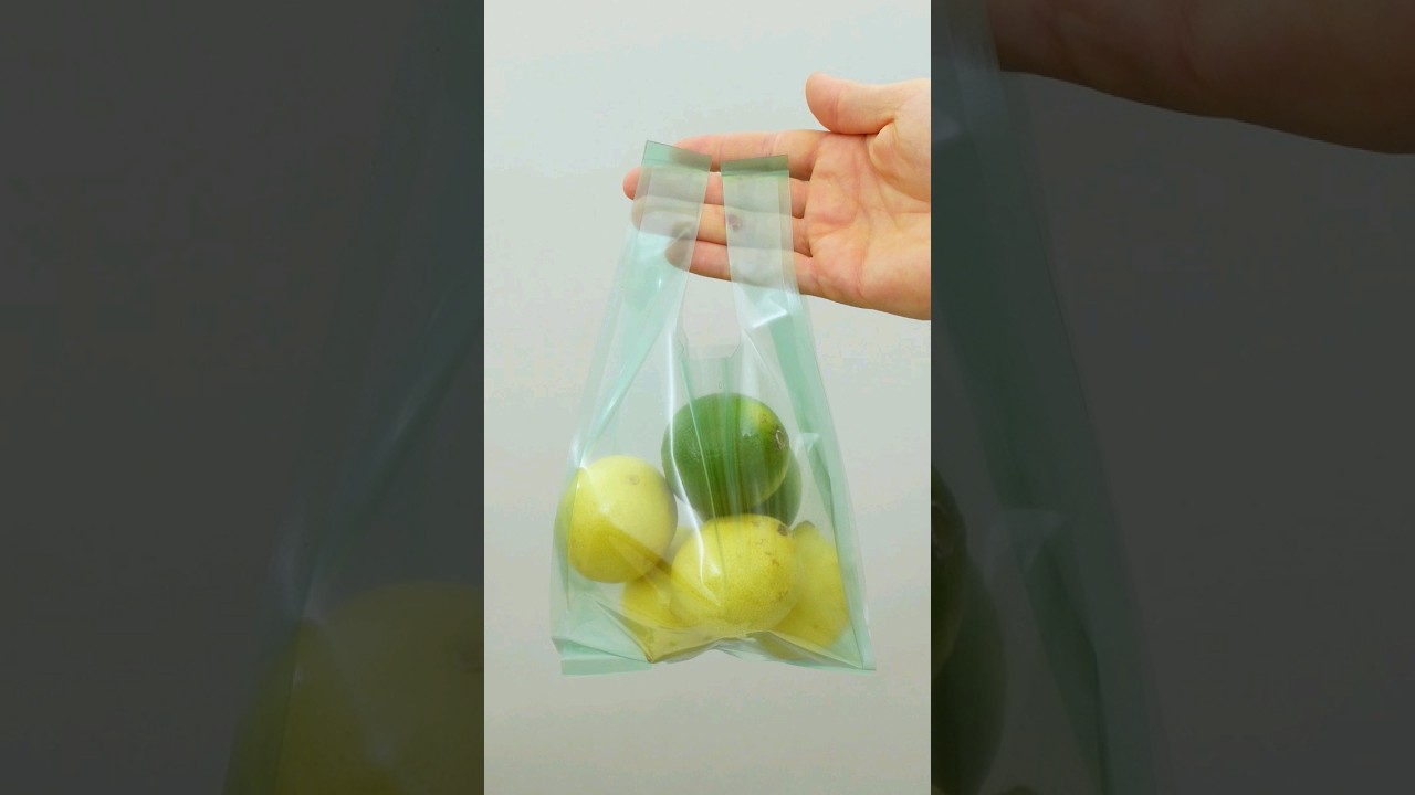 Homemade Bioplastic: bag