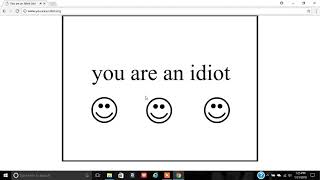 what really happens when you go on youareanidiot.org