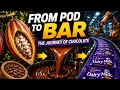 How CHOCOLATE Is Made | From Cocoa Pod to Chocolate Bar