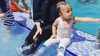 Percikan Bahagia Di Lamanda