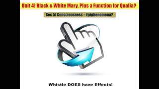 Sec 5 Consciousness = Epiphenomena?