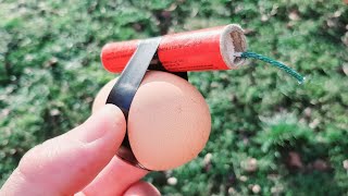 EXPERIMENT Firecracker vs Eggs