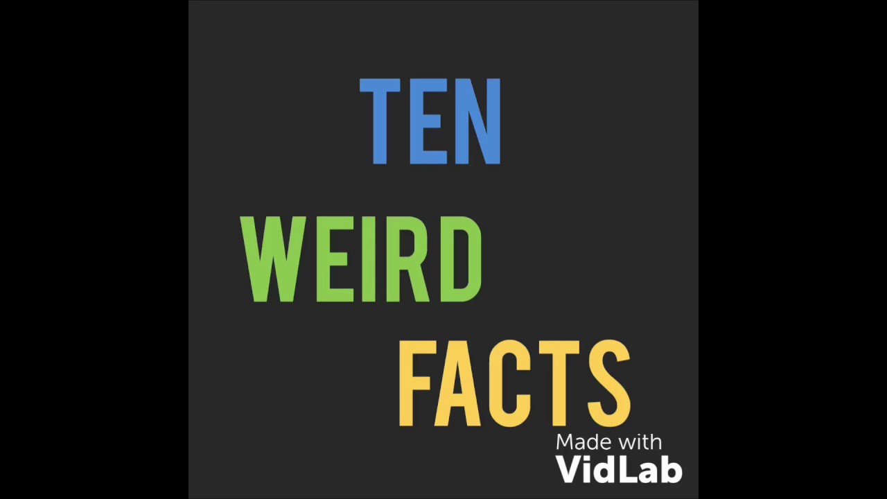Ten Weird Facts YouTube
